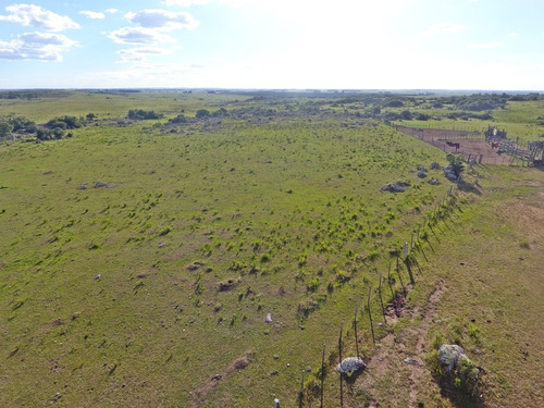 236hás Campo Criador En Florida