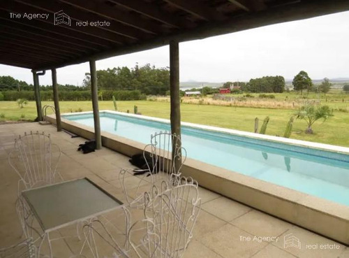 Imagen 6 de 13 de Chacra En Venta Punta Ballena Con Vista A La Laguna Del Sauce