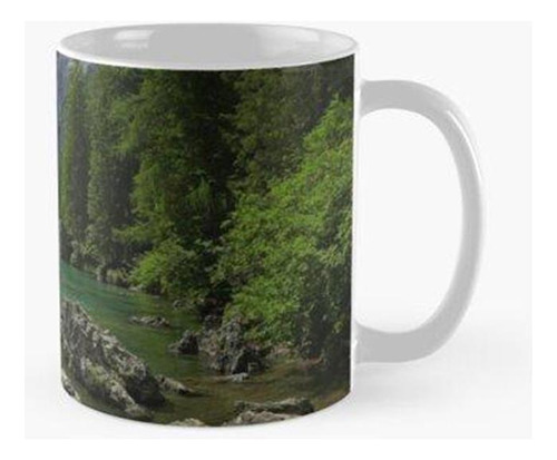 Taza Lago Braies Calidad Premium