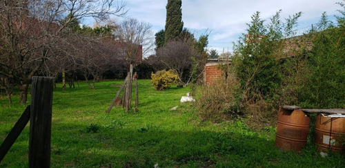 Imagen 7 de 10 de Terreno En Venta En Berazategui