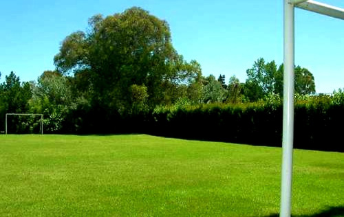 Imagen 4 de 14 de Alquilo Casaquinta 6500 M² Del Viso Pilar