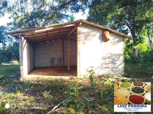 Imagem 15 de 15 de Fazenda Em Divinópolis - To - 136 Alqueirões (pecuária) - 1382