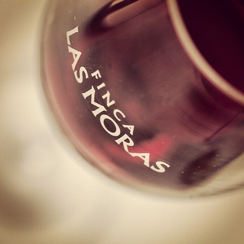 Vino Sagrado El Pedernal Malbec 750ml. - Finca Las Moras