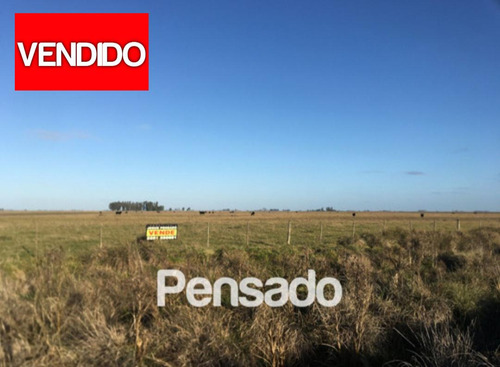 Campo 309 H En Venta Ganadero / Vendido