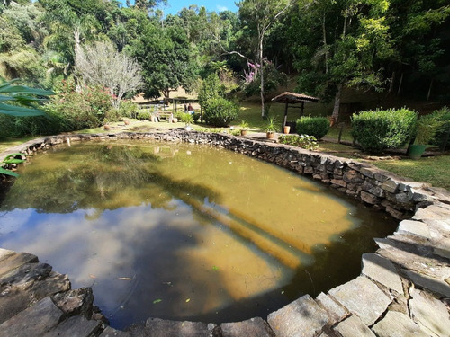 Imagem 20 de 30 de Sítio Em São Lourenço Rico Em Agua