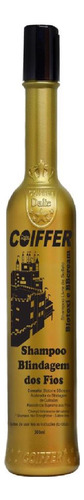 Shampoo Blindagem Blotoxi Coiffer 300ml Liso Perfeito (2x)