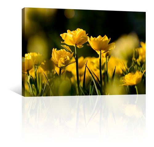 Cuadro Decorativo Naturaleza Flores Canvas Tulipan Silvestre