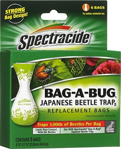 Trampa Japonesa Para Escarabajos Con 6 Repuestos.