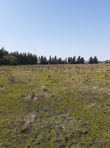 Imagen 10 de 12 de Campo De 9 Hectáreas - Av. 44 252 Y 254. 5 Parcelas Con Partidas Individuales.-