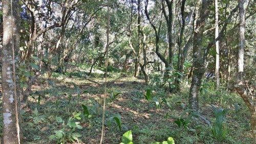 Imagem 7 de 20 de Terreno À Venda, 2845 M² Por R$ 1.600.000,00 - Jardim Mediterrâneo - Cotia/sp - Te7989