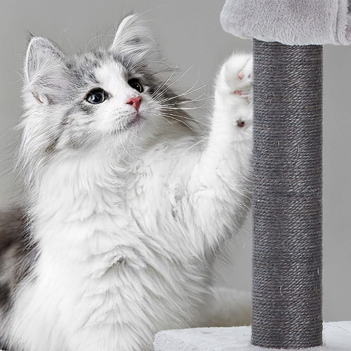 Imagen 6 de 7 de Rascador Gatos Tipo Torre Arbol 250cm Rascacielo Terciopelo