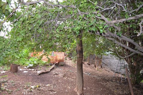 Imagem 8 de 14 de Terreno Para Venda, 1030.7163 M2, Pirituba - São Paulo - 2613