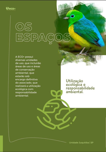 Imagem 11 de 12 de Terreno - Te00013 - 69931199