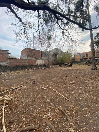 Imagen 9 de 10 de Terreno En Jiutepec