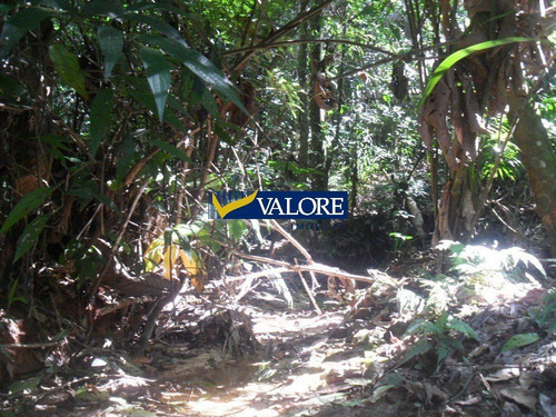 Imagem 7 de 7 de Excelente Lote No Condomínio Estância Serrana - 10281