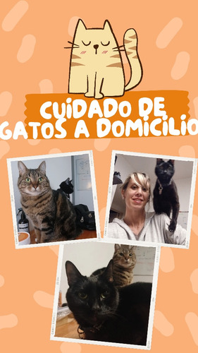 Catsitter, Cuidado De Animales A Domicilio,con Referencias