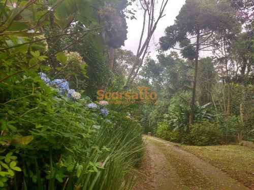 Imagem 11 de 11 de Chácara Á Venda, Potuverá, Itapecerica Da Serra/sp - 5469
