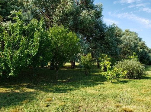 Imagen 4 de 10 de Terreno - Lomas De San Antonio