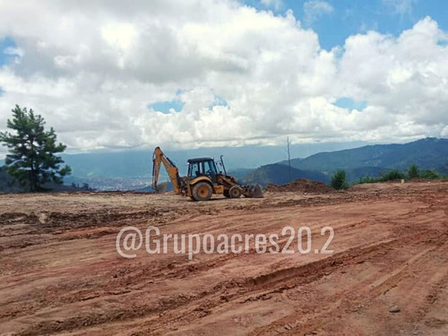 Imagen 3 de 4 de Acres 20.2 Vende Amplio Lote De Terreno Ubicado En Pacheco San Antonio De Los Altos. Cf