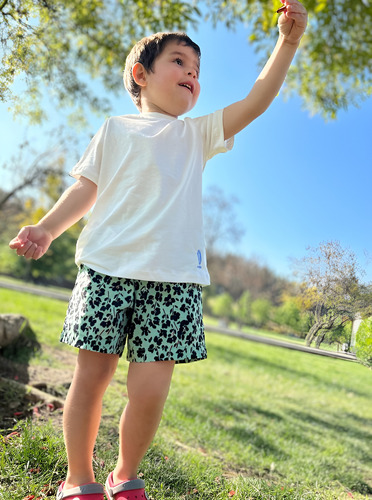 Short Niño Con Elástico 100% Algodón Alfonsino