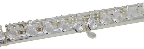 Kit Flauta Transversal Fl-200es Ny + Estante De Partitura S1 Cor Prateado