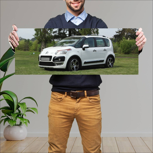 Cuadro 30x80cm Auto 2011 Citroen C3 Picasso By C 21