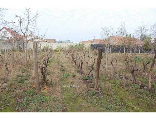 Terreno De 5000 Mts. Con Casa En Pleno Vicuña Mackenna