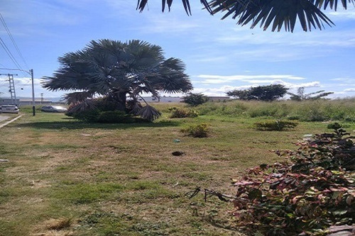 Imagen 6 de 7 de Terreno, Hacienda La Morenera, Santa Cruz, Edo. Aragua( Pit 22010283)