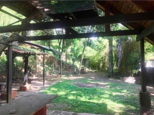 Imagen 6 de 7 de Terrero/galpon/deposito