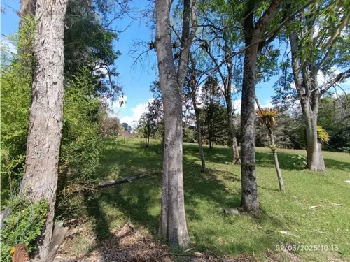 Vendo Lote En Llano Grande Vereda Cabeceras De 6.307 M² Sobre Vía