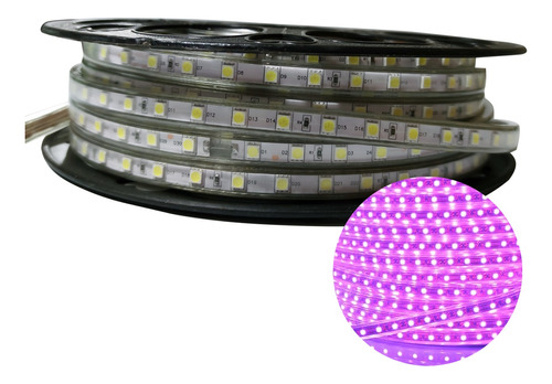 Manguera Led 5050 Rollo 25m Ip65 Exterior Color A Elegir