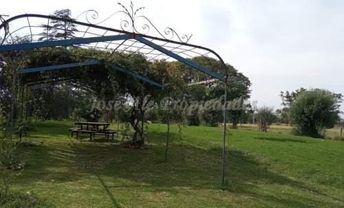 Imagen 4 de 8 de Chacra En Venta - Colonia Del Sacramento