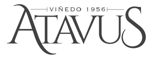 Vino Premium Atavus Carmenere Valle Cachapoal Viña Boutique