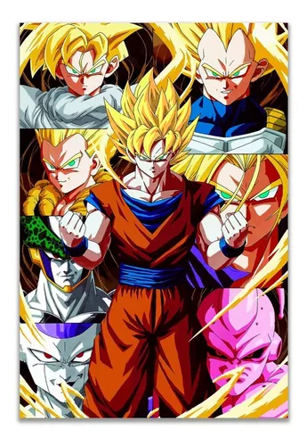 Poster Dragon Ball Super Z 48cmx33cm Calidad Goku Vegeta