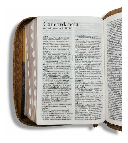 Imagen 6 de 10 de Biblia Juvenil Compacta Letra Grande 11 Pt Aguila Cafe
