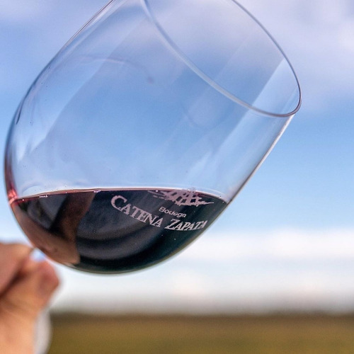 Imagen 4 de 10 de Vino Dv Catena L'esploratore Cafayate Salta 750ml.