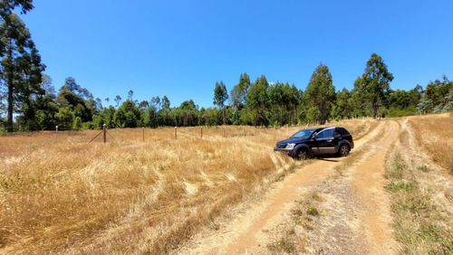 Parcela Una Hectárea En Máfil, Región De Los Ríos