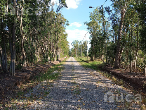 Espectacular Terreno En Venta En Semicerrado En Las Chacras, Zona La Cañada