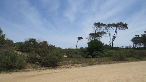 Imagen 1 de 5 de Terreno En Chihuahua Muy Cerca De La Playa
