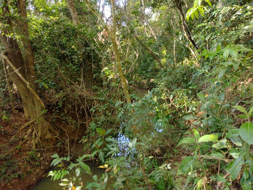 Vende-se Lindas Chácaras 2000m Quadrado, Em Jaboticatuba Mg