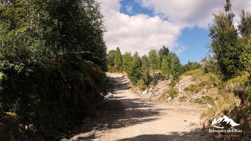 Black Friday 50% Dcto - Parcela 5.000 M2 Bosque Nativo Y Río