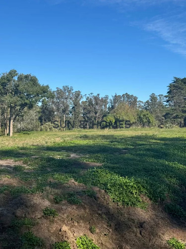 Oportunidad Terrenos De 1.000 Mts Financiados Hasta En 5 Años En Barrio Cerrado Con Servicios En Punta Ballena