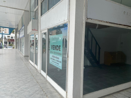 Imagen 7 de 8 de Local Comercial Con Departamento En Pinamar