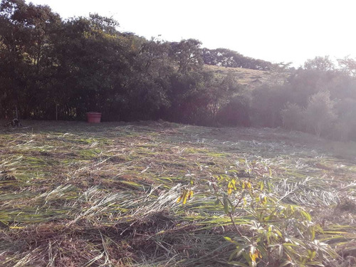 Chácara No Sul De Minas, Cidade De Caxambu , Com 5.000 M2, Terreno Plano , 09 Klm Da Cidade. - 518