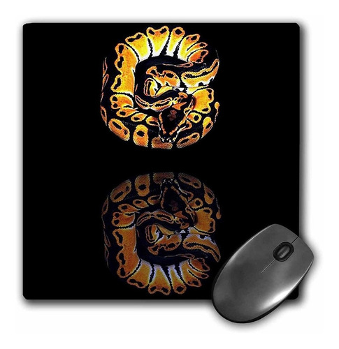 3drose Llc 8 x 8 x 0.25 inches Mouse Pad, Ball Python (mp