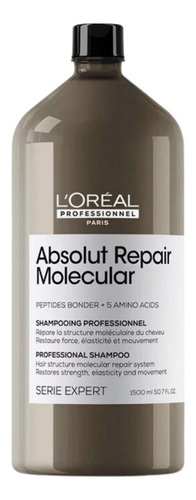 Shampoo Reparação Instantânea Loreal Absolut R Molecular 1,5
