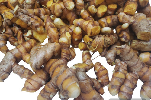 Açafrão Orgânico Fresco- Curcuma 2 Kg