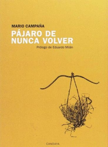 Libro Pájaro De Nunca Volver