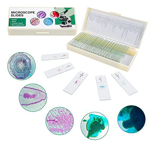 50 Prepared Microscope Slides With Specimens For Kids S...