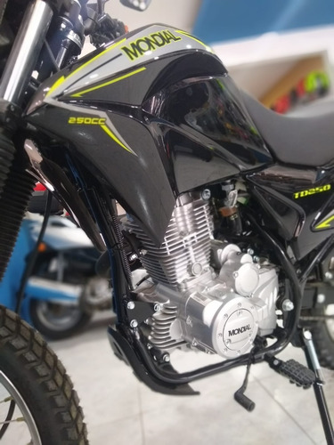 Imagen 12 de 15 de Mondial Enduro Td 250 O Ahora18 $49.900
